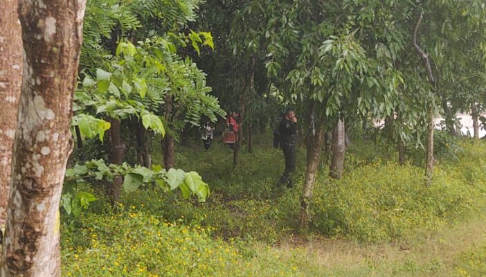 Se quitó la vida colgándose de un árbol