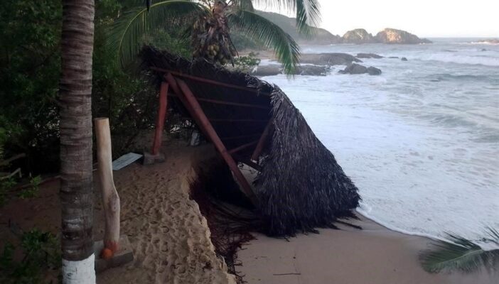 Campamento tortuguero de Mayto fue arrasado por 'Pamela'