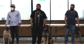 ¡Cumplieron con creces! Jubilan a 3 perros policías