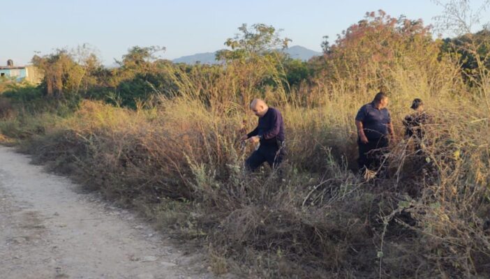 Encuentran cuerpo en avanzado estado de descomposición en Ixtapa