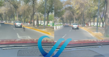 Captan momento en que abandonan a perrito en calles de la CdMx