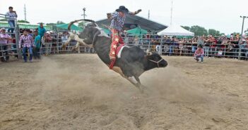 ¿Baile en Bahía de Banderas? El Gobierno del Estado no los permite