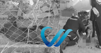 Un perrito muerto, otro herido y 2 lesionados en riña en la 1 de mayo