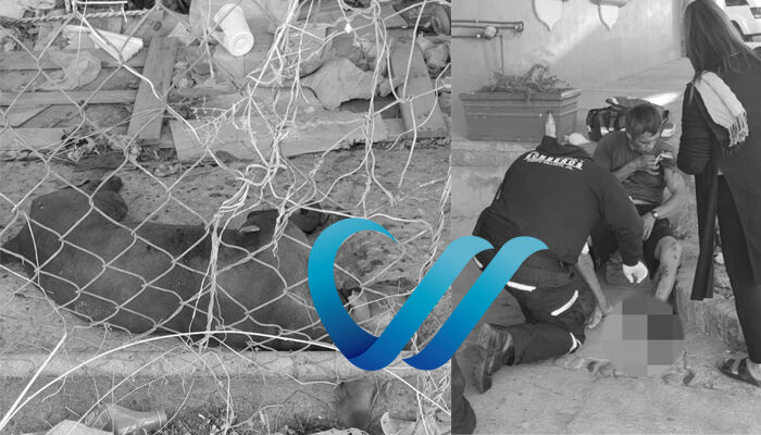 Un perrito muerto, otro herido y 2 lesionados en riña en la 1 de mayo