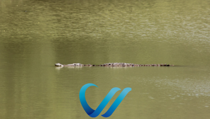 Señalan caza furtiva en laguna del Quelele en Bahía