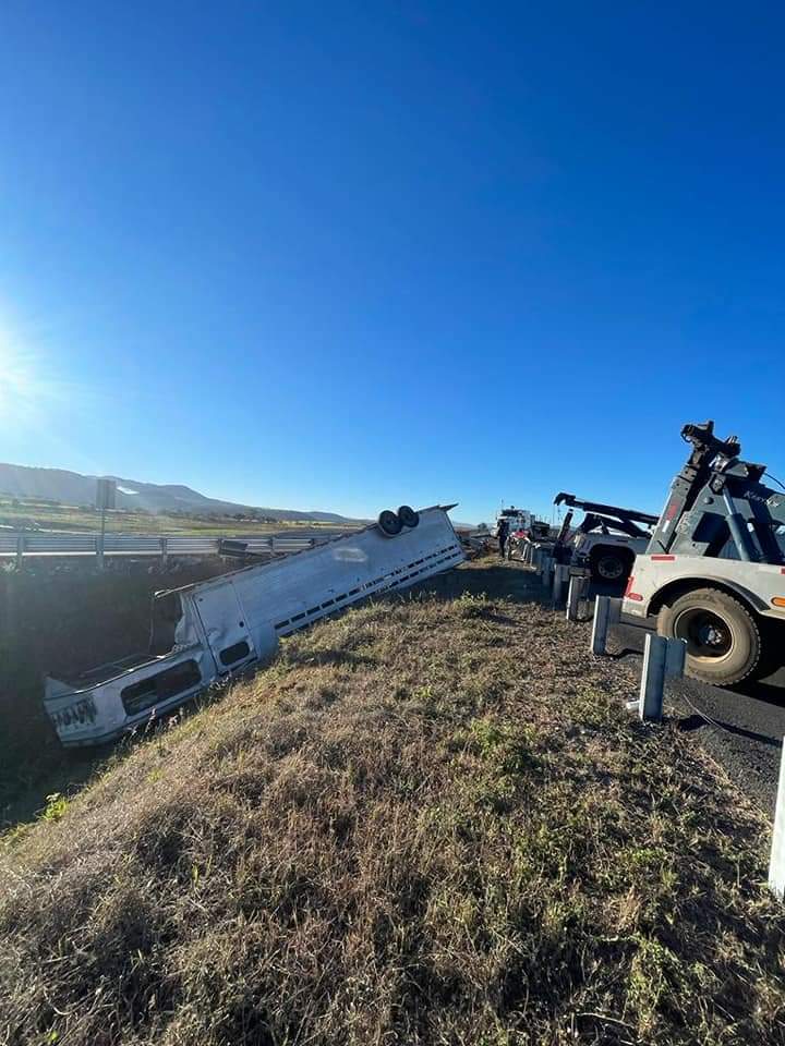 4 yeguas que venían al Campeonato Charro pierden la vida en accidente