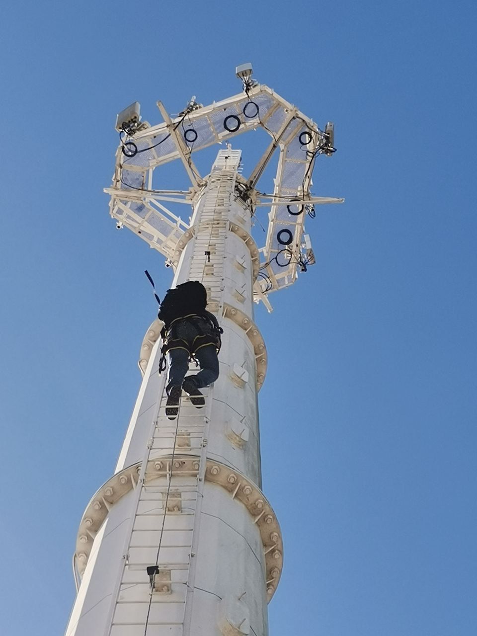 Rescatan a gatito que estaba a 15 metros en una antena de telefonía