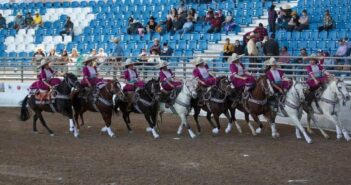 4 yeguas que venían al Campeonato Charro pierden la vida en accidente