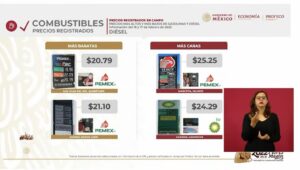 Mascota tiene la gasolina Magna y Diesel más caro del país 2 Mascota tiene la gasolina Magna y Diesel más caro del país