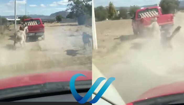 Ordenan investigar a hombre que arrastró un burro en Hidalgo