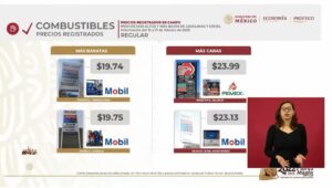 Mascota tiene la gasolina Magna y Diesel más caro del país 1 Mascota tiene la gasolina Magna y Diesel más caro del país