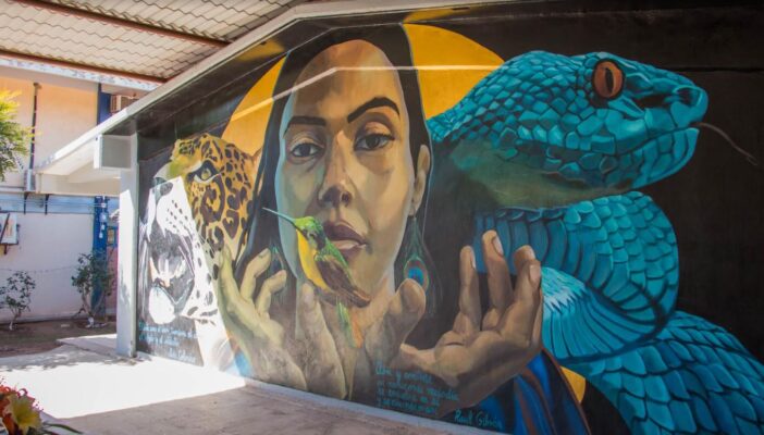 Llevan el arte a escuelas de Puerto Vallarta