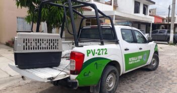 Una decena de perros envenenados en Sendero de Luna preocupa a vecinos