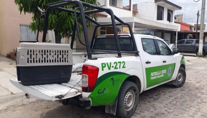 Una decena de perros envenenados en Sendero de Luna preocupa a vecinos