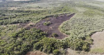 Incendio en El Salado sí fue provocado, por el sitio donde se desarrolló