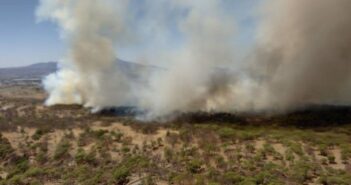 Otro incendio ataca el Bosque de la Primavera