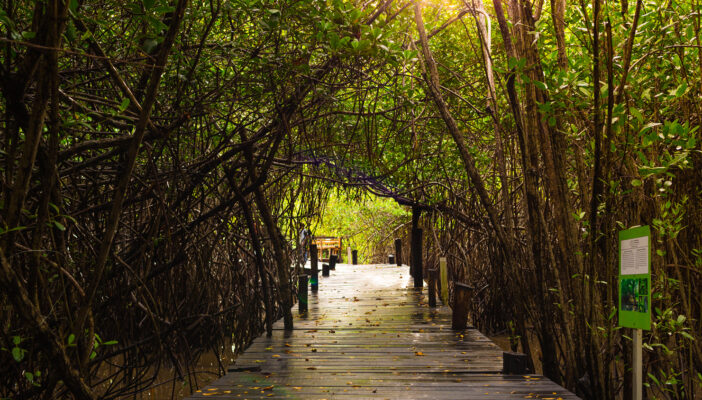 Obras en 'El salado' estarán listas este año, pero no se sabe cuándo