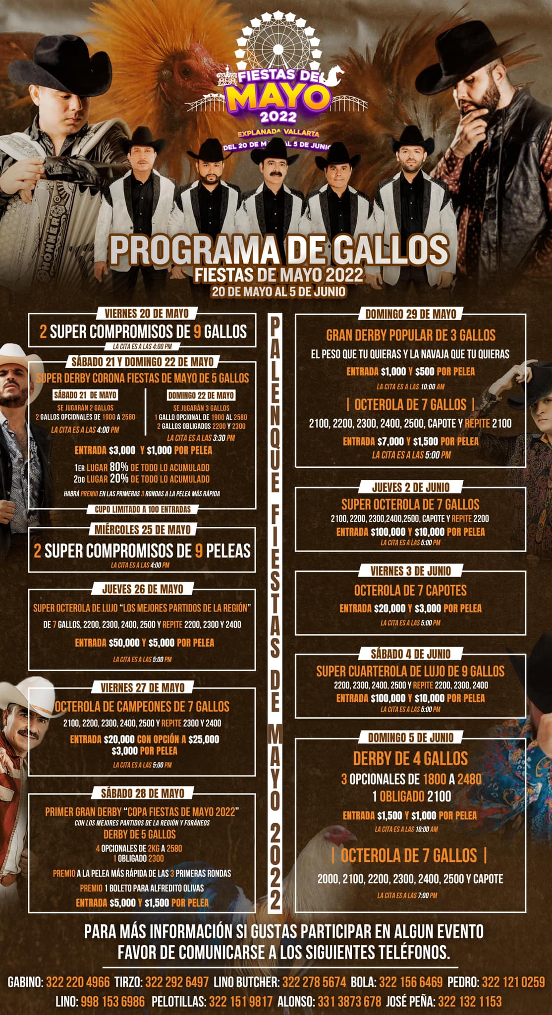 Peleas de gallos en Fiestas de Mayo dividen opiniones 1 Peleas de gallos en Fiestas de Mayo dividen opiniones