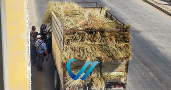 A tiros, acaban con la vida de otro hombre en Bahía de Banderas