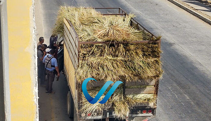 A tiros, acaban con la vida de otro hombre en Bahía de Banderas
