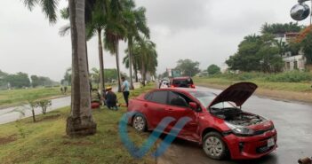 El pavimento mojado hizo que se le atravesara una palmera