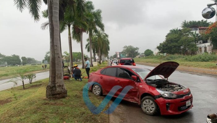 El pavimento mojado hizo que se le atravesara una palmera