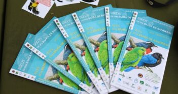 Exhortan a vallartenses a comprometerse con el medio ambiente