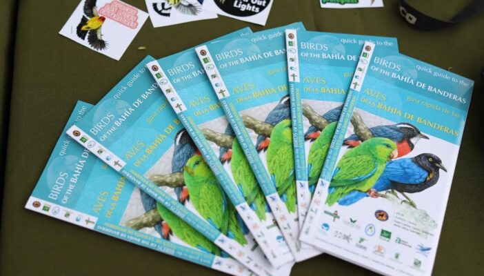 Exhortan a vallartenses a comprometerse con el medio ambiente