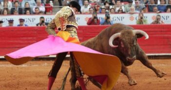 Corridas de toros y peleas de gallos no son patrimonio, dice la SCJN