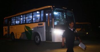 Búho nocturno regresará a partir de agosto a Vallarta