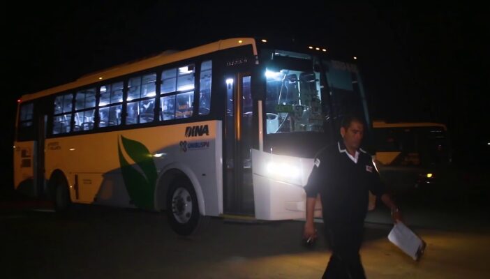 Búho nocturno regresará a partir de agosto a Vallarta