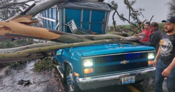 Caen árboles sobre vehículos y mueren 2 personas