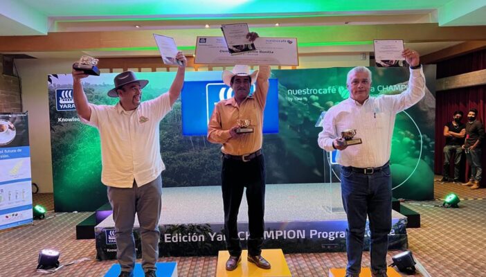 El café veracruzano sigue manteniendo la taza de oro en el café de especialidad mexicano