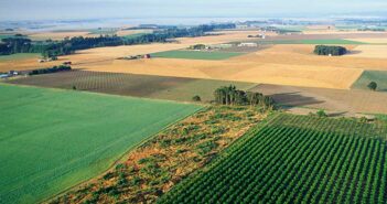 Falta de infraestructura de Internet limita el crecimiento de la agroindustria en México