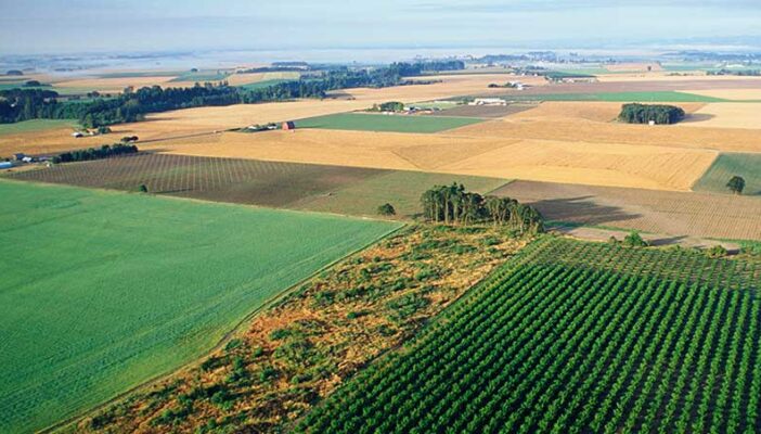 Falta de infraestructura de Internet limita el crecimiento de la agroindustria en México