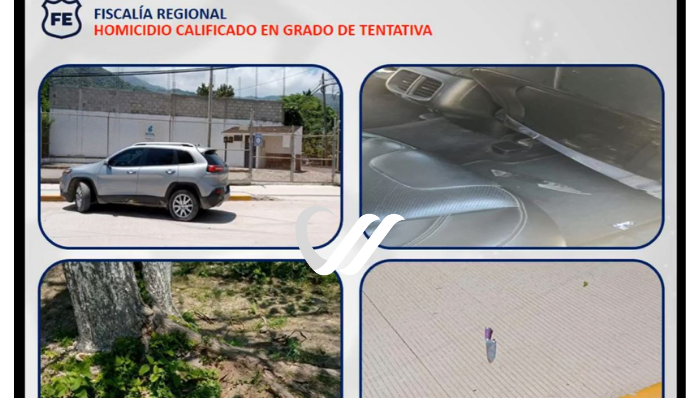 Fiscalía agrega 'tentaiva de homicidio' al ataque contra Susana Carreño