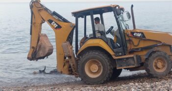 Encuentran vaca muerta en playa Camarones
