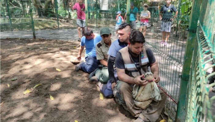Capacitan a miembros de PC para aseguramiento de cocodrilos