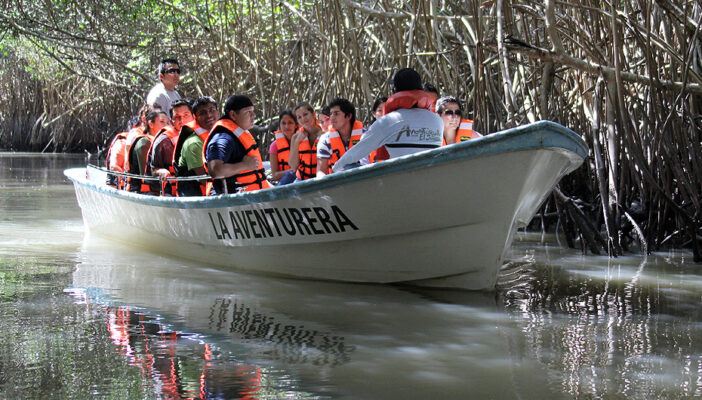 Habrá cocodrilario en el Estero El Salado