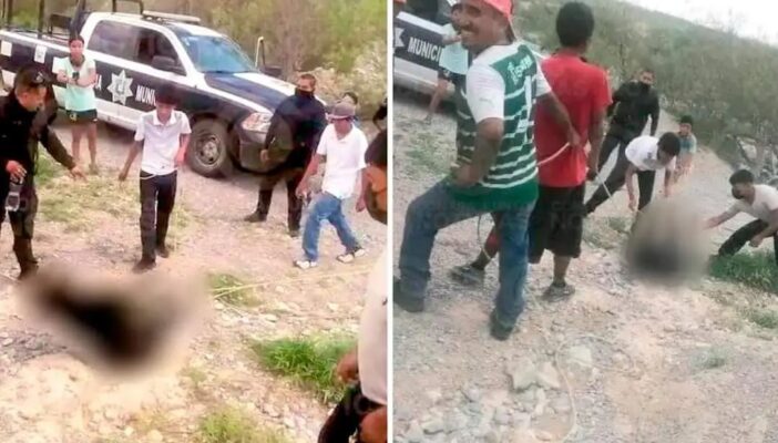 Suspenden a 5 policías que no evitaron matanza de un osezno