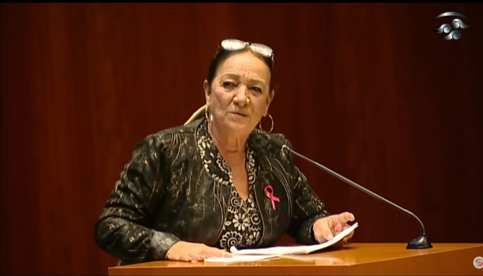 Senadora de Morena llama "baquetones y sinvergüenzas" a la oposición