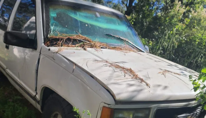 Aseguran camioneta blindada en Mazamitla