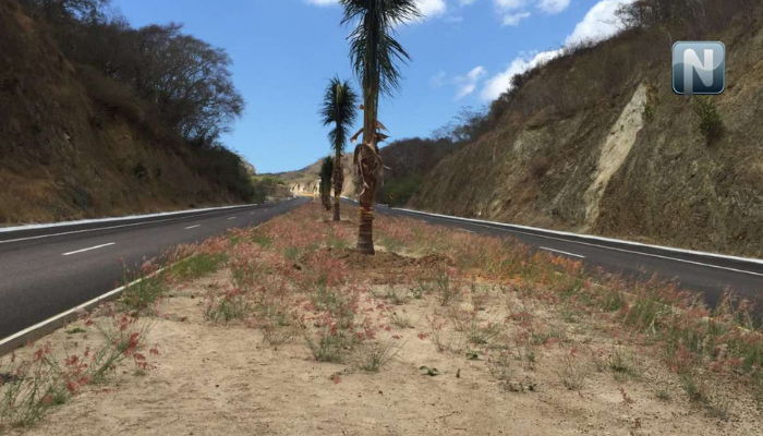 ¿Por qué lamentar y no prevenir las tragedias?