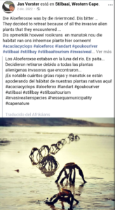 ¿Qué son las "criaturas" que salen del mar en Sudáfrica?