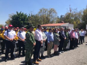 ¿Cuáles son las causas de los incendios forestales? 1 incendios forestales