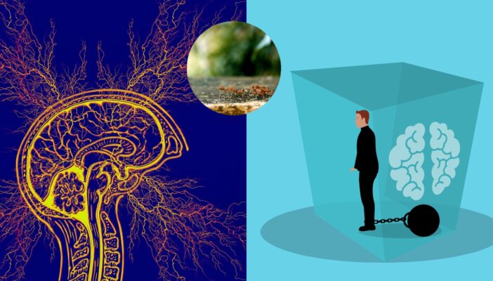 ¿Existe la enfermedad de Ant-man?