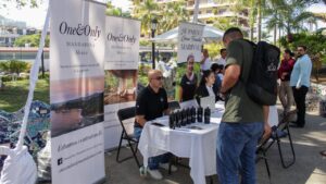 feria del empleo puerto vallarta 