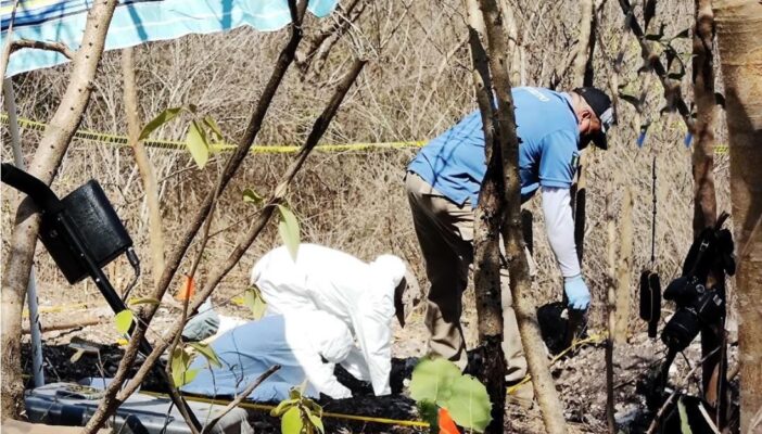 encuentran cuerpos en san isidro mazatepec