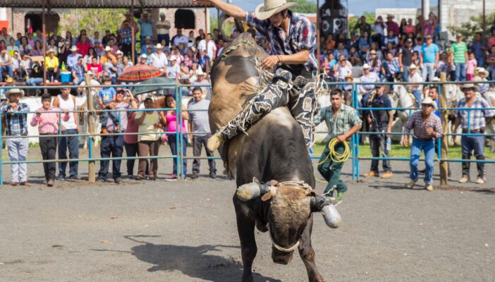 toro mata a joven en jalisco
