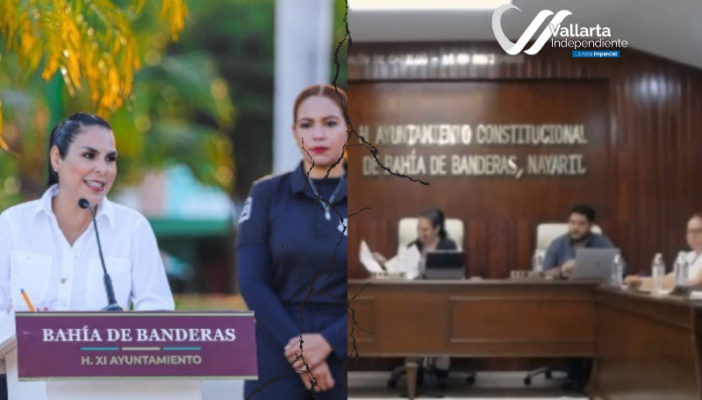 Comisión Especial Transitoria para la revisión de contratos de concesión y asociación pública-privada